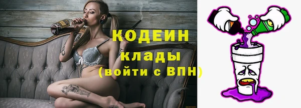 амф Елабуга