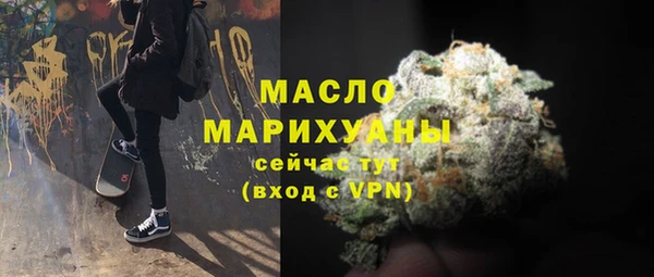 соль ск Ельня