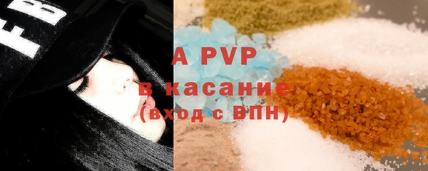 прущие грибы Хадыженск