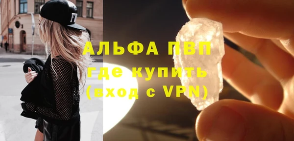 прущие грибы Хадыженск