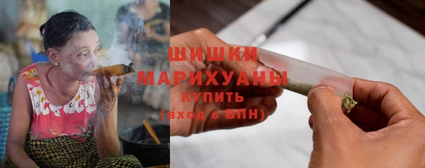 соль ск Ельня