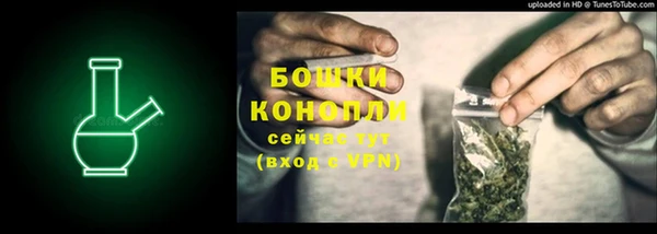 прущие грибы Фурманов