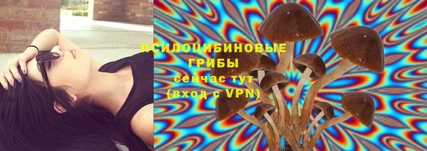 прущий лед Елизово