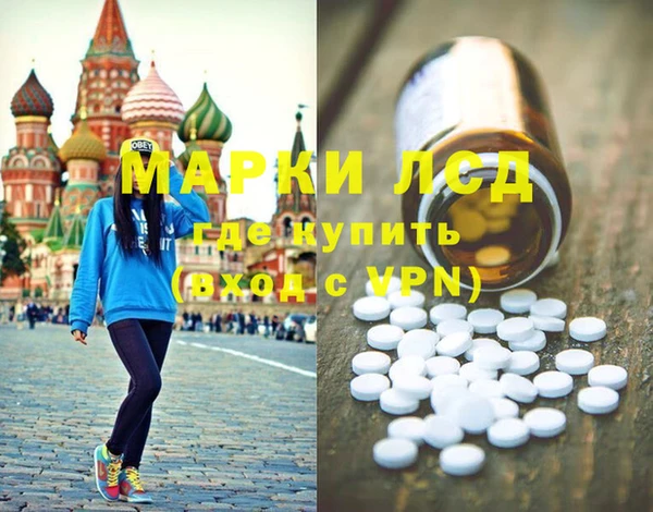 соль ск Ельня