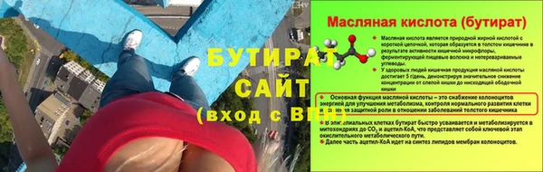 соль ск Ельня