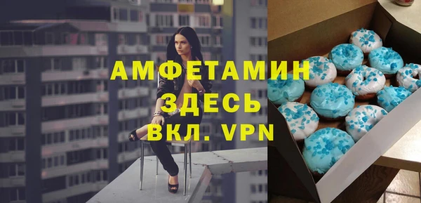 соль ск Ельня