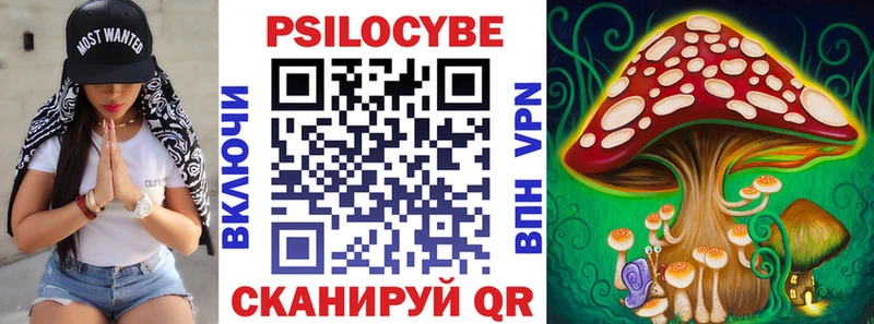 Купить где  Судогда  Псилоцибиновые грибы Psilocybe 